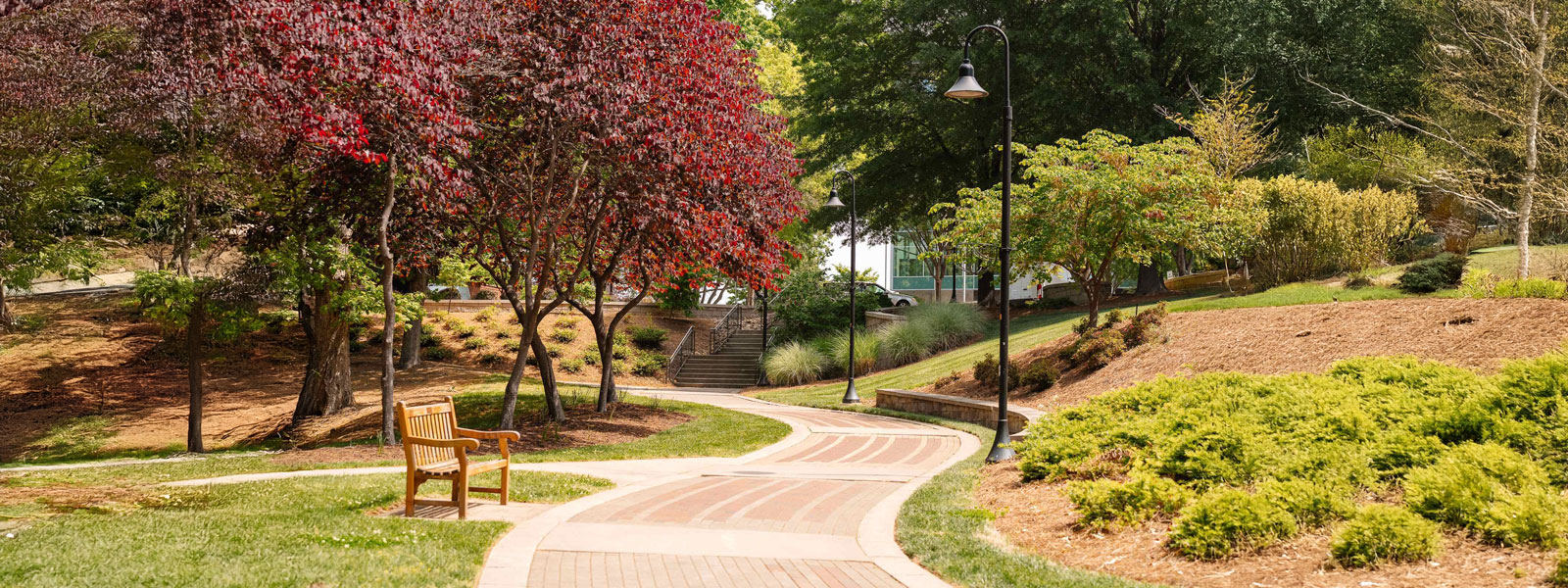 Scenic pathway on the UNCSA campus